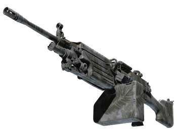 M249 | Полуночная пальма