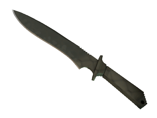 ★ Classic Knife | Safari Mesh (Factory New)