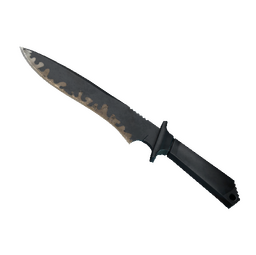 ★ Classic Knife | Night Stripe (Well-Worn)