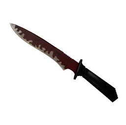 ★ StatTrak™ Classic Knife | Crimson Web (Well-Worn)