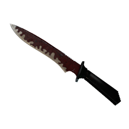 ★ Classic Knife | Crimson Web (Battle-Scarred)