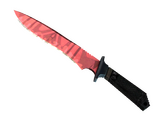★ Classic Knife | Slaughter