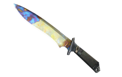 ★ Classic Knife | Case Hardened