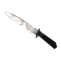 ★ StatTrak™ Classic Knife | Stained (Factory New)