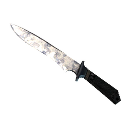 ★ Classic Knife | Stained (Factory New)