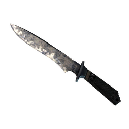 ★ StatTrak™ Classic Knife | Stained (Battle-Scarred)