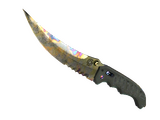 ★ Flip Knife | Case Hardened