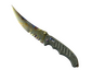 ★ Flip Knife | Case Hardened (Well-Worn)