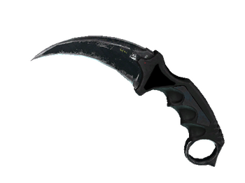 ★ StatTrak™ Karambit | Night