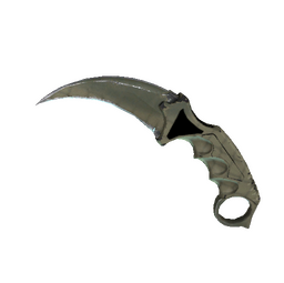 ★ StatTrak™ Karambit | Safari Mesh (Well-Worn)