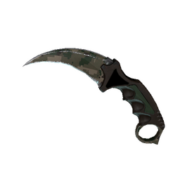 ★ Karambit | Forest DDPAT (Well-Worn)