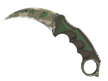 ★ StatTrak™ Karambit | Forest DDPAT