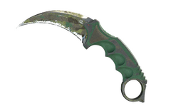 ★ Karambit | Boreal Forest