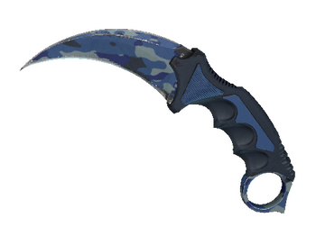 ★ StatTrak™ Karambit | Bright Water