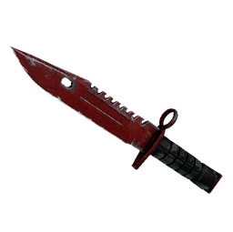 ★ M9 Bayonet | Crimson Web (Well-Worn)