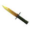 ★ M9 Bayonet | Lore (Minimal Wear)
