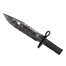 ★ M9 Bayonet | Stained (Well-Worn)