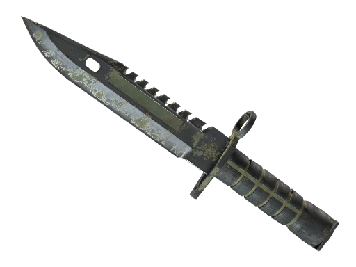 ★ M9 Bayonet | Safari Mesh (Battle-Scarred)