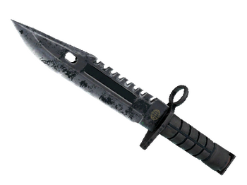 ★ M9 Bayonet | Night