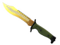 ★ StatTrak™ Bowie Knife | Lore (Factory New)