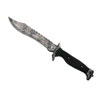 ★ Bowie Knife | Stained (Battle-Scarred) icon