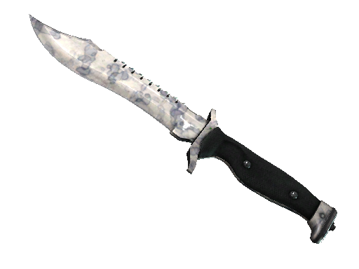 ★ Bowie Knife | Stained (Factory New)