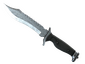 ★ Bowie Knife | Damascus Steel (Factory New)