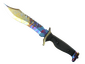 ★ StatTrak™ Bowie Knife | Case Hardened (Well-Worn)