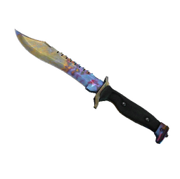 ★ StatTrak™ Bowie Knife | Case Hardened (Field-Tested)