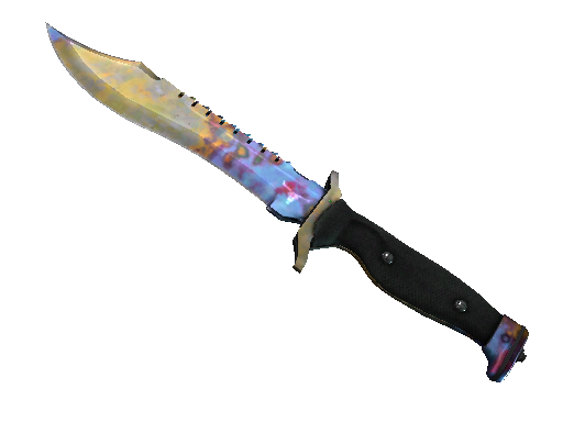 ★ Bowie Knife | Case Hardened (Factory New)