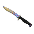 Bowie Knife | Case Hardened image 120x120