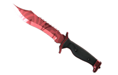 ★ Bowie Knife | Slaughter