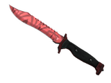 ★ Bowie Knife | Slaughter