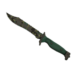 ★ Bowie Knife | Boreal Forest (Minimal Wear)