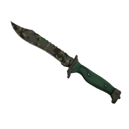 ★ Bowie Knife | Boreal Forest (Well-Worn)