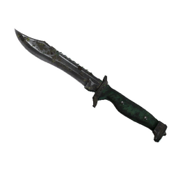 ★ Bowie Knife | Boreal Forest (Battle-Scarred)