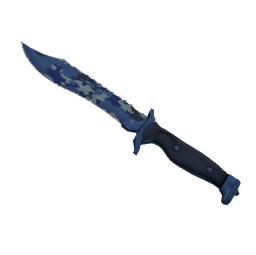 ★ Bowie Knife | Bright Water (Factory New)