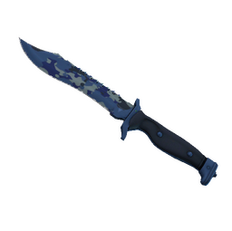 ★ StatTrak™ Bowie Knife | Bright Water (Factory New)