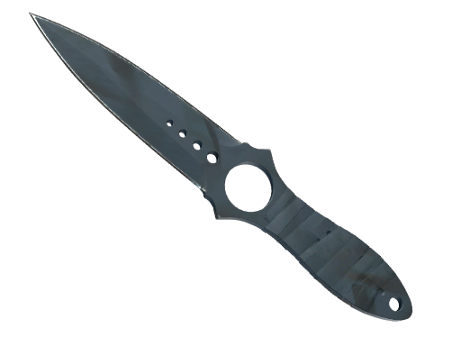 ★ Skeleton Knife | Night Stripe (Well-Worn)