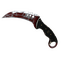 ★ StatTrak™ Talon Knife | Crimson Web (Battle-Scarred)