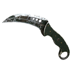 ★ StatTrak™ Talon Knife | Forest DDPAT (Battle-Scarred)