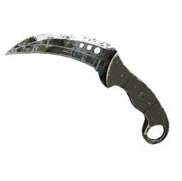 ★ Talon Knife | Boreal Forest (Battle-Scarred)