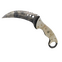★ Talon Knife | Stained (Battle-Scarred)
