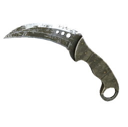 ★ StatTrak™ Talon Knife | Safari Mesh (Battle-Scarred)