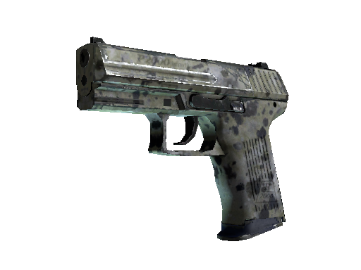 P2000 | Granite Marbleized (Field-Tested)