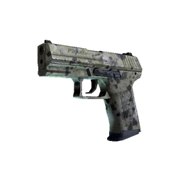 P2000 | Granite Marbleized (Minimal Wear)