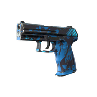 P2000 Oceanic
