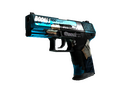 P2000 | Handgun