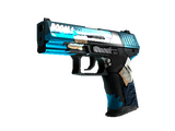 P2000 | Handgun