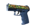P2000 | Кортисейра
